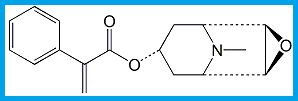 HYOSCINE EP IMPURITY B / APOHYOSCINE /APOSCOPOLAMINE